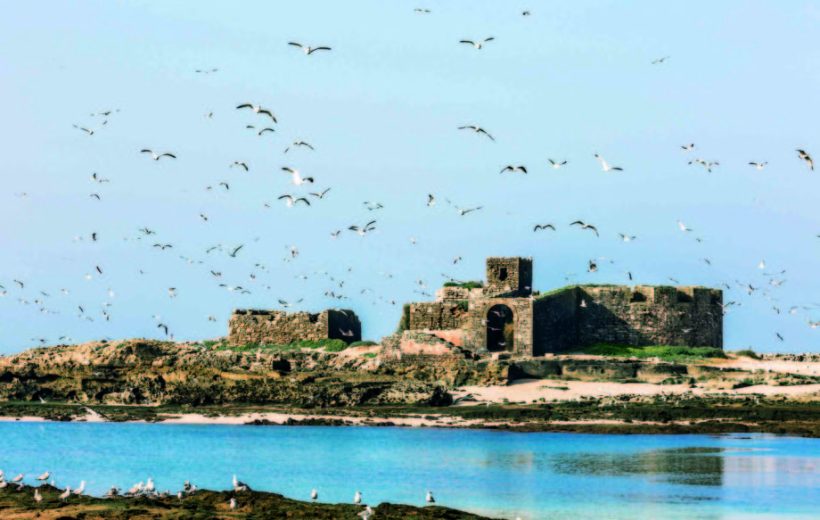 Essaouira Mogador